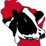 Wisconsin Holstein Assoc - Other in Baraboo