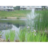 Cason Associates - Other in Berlin