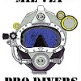 Mil-Vet Professional Divers LLC - Other in Wausaukee