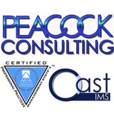 Peacock Consulting LLC - Business Consulting in Madison