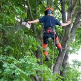 Russ's Tree Service - Tree Services in Milwaukee