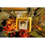 Harmony Specialty Dar Foods - Other in Stratford