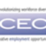 CEO Inc - Business Consulting in Milwaukee