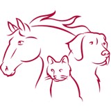 Midwest Equine Services - Other in Elkhorn