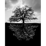 Mark Avery Photography - Commercial Photography in Milwaukee