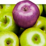 Health Exchange Resources - Other in Thiensville