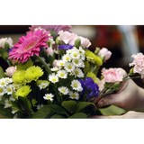 Choles Floral - Florists in Madison