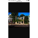 Paddy's Pub - Pet Stores in Milwaukee