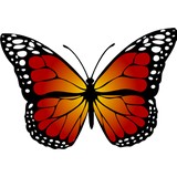 Family Respite Care Service - Other in Janesville