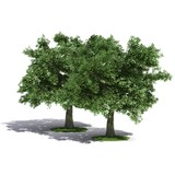 Twin Oaks Marketing LLC - Other in Janesville