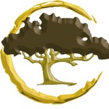 LA Budde Peter DDS - Dentists in Jackson