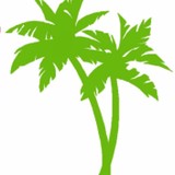 Music Store - Other in New London