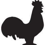 Marigold Kitchen - Restaurants in Madison