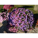 Tehan Greenhouses, Inc - Other in Oak Creek