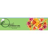 Riverside Florist & Greenhouse - Other in Appleton
