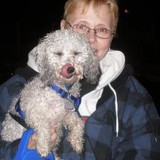 The Shops at Trendy Things - Other in Burlington