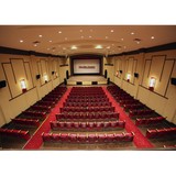 The Ritz Theatre Cinema and Performing Arts - Other in Hinton