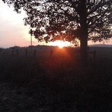 Skyview Tree Experts LLC - Other in Augusta