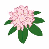 Bluestone State Park - Other in Hinton