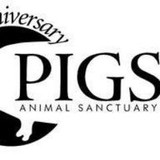 Pigs A Sanctuary - Other in Shepherdstown