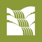Land Expressions - Other in Wellsburg