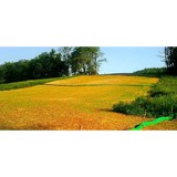 J Wood Contracting LLC (Pipeline Services) - Other in Elkview