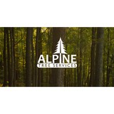 Alpine Tree Service Inc - Other in Beckley