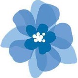 Serenity Pregnancy Resource - Other in Cody