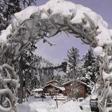 Elephant Head Lodge - Other in Cody