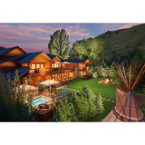 The Tree and Landscape Company - Landscaping in Jackson