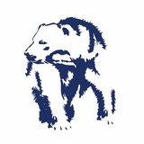 Bear River Dental - Dentists in Evanston