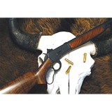 Big Horn Armory - Other in Cody