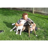 Doggie DO Right - Pet/Animal Training in Cheyenne