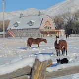 Trial Lawyers College - Other in Laramie