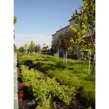 Alta Landscape Inc - Landscape Architects in Union City