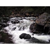Roaring Camp Mining Company - Other in Pine Grove