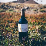 Andis Wines LLC - Wineries in Plymouth