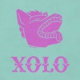 Xolo - Restaurants in Oakland