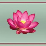 Integrated Healing - Acupuncture in Oakland