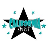 California Spirit Elite Inc - Gyms in Dublin