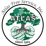 Atlas Tree Service & Pest Control - Tree Services in Concord