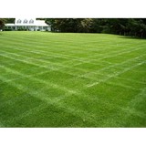 Dutra Landscape & Gardening - Landscaping in Fremont