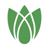 Tulip Publishing & Graphics - Business Consulting in Berkeley