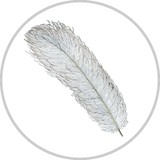 Feather Inc. - Resume and CV Services in Los Angeles