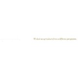 Correia-Xavier Inc - Auction Houses in Fresno