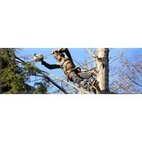 Tree Care Of California - Tree Services in Concord