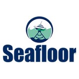 Seafloor Systems Inc - Business Consulting in El Dorado Hills