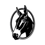 Mule Days Celebration - Other in Bishop