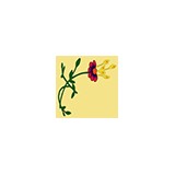 Barnett Rentals - Other in Bishop