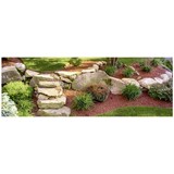 Freitas Landscape Maintenance - Other in Pinole